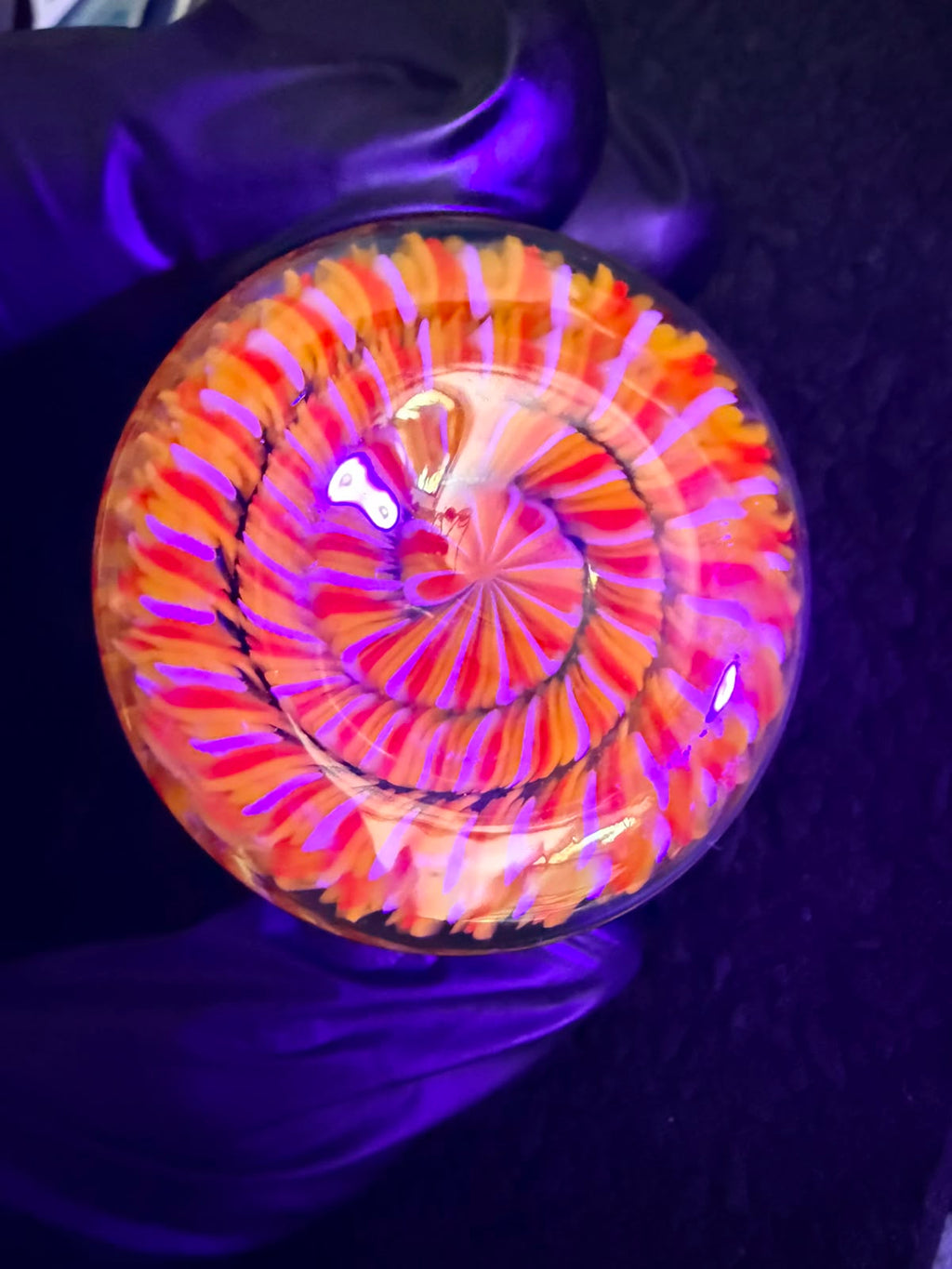 Conversion Glass Rosin Jar