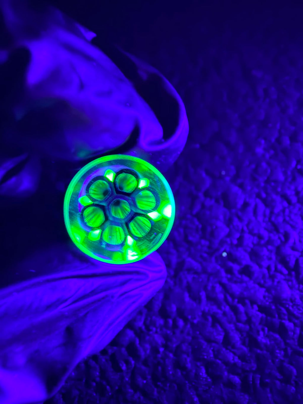 Crisp – UV Filtertip