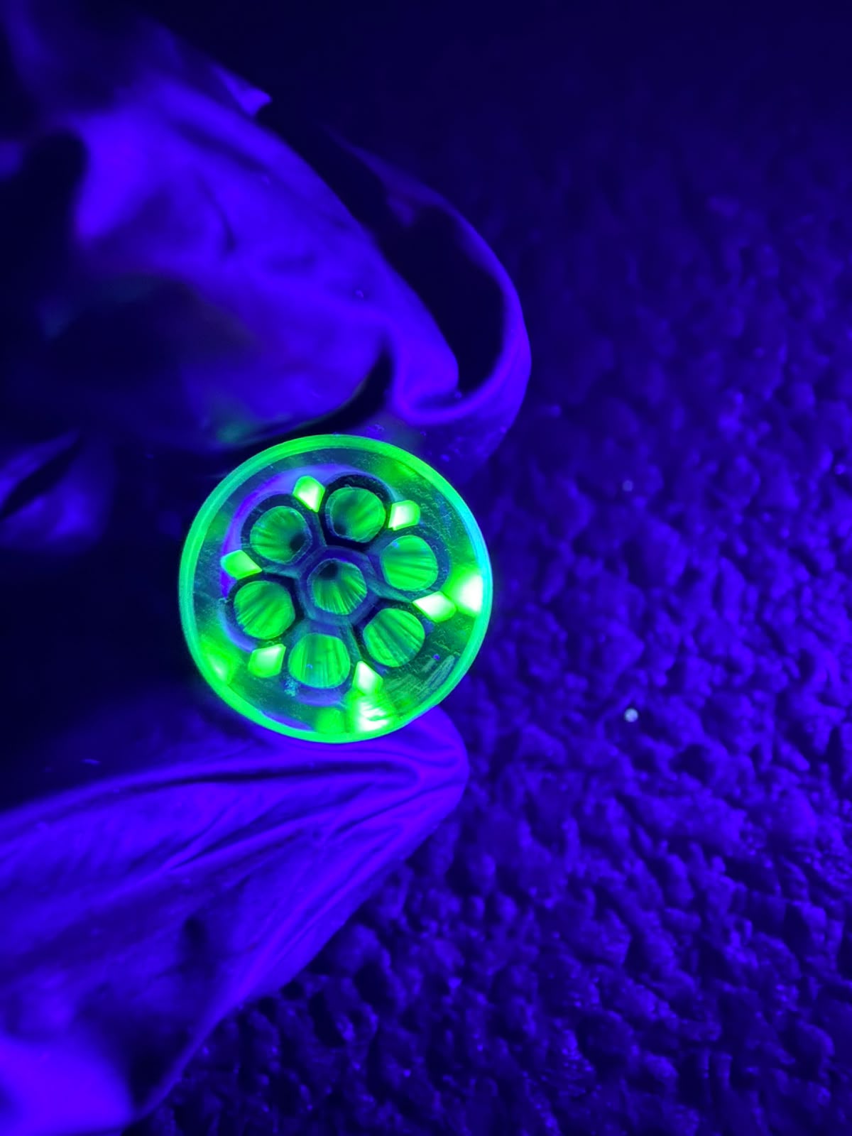 Crisp – UV Filtertip