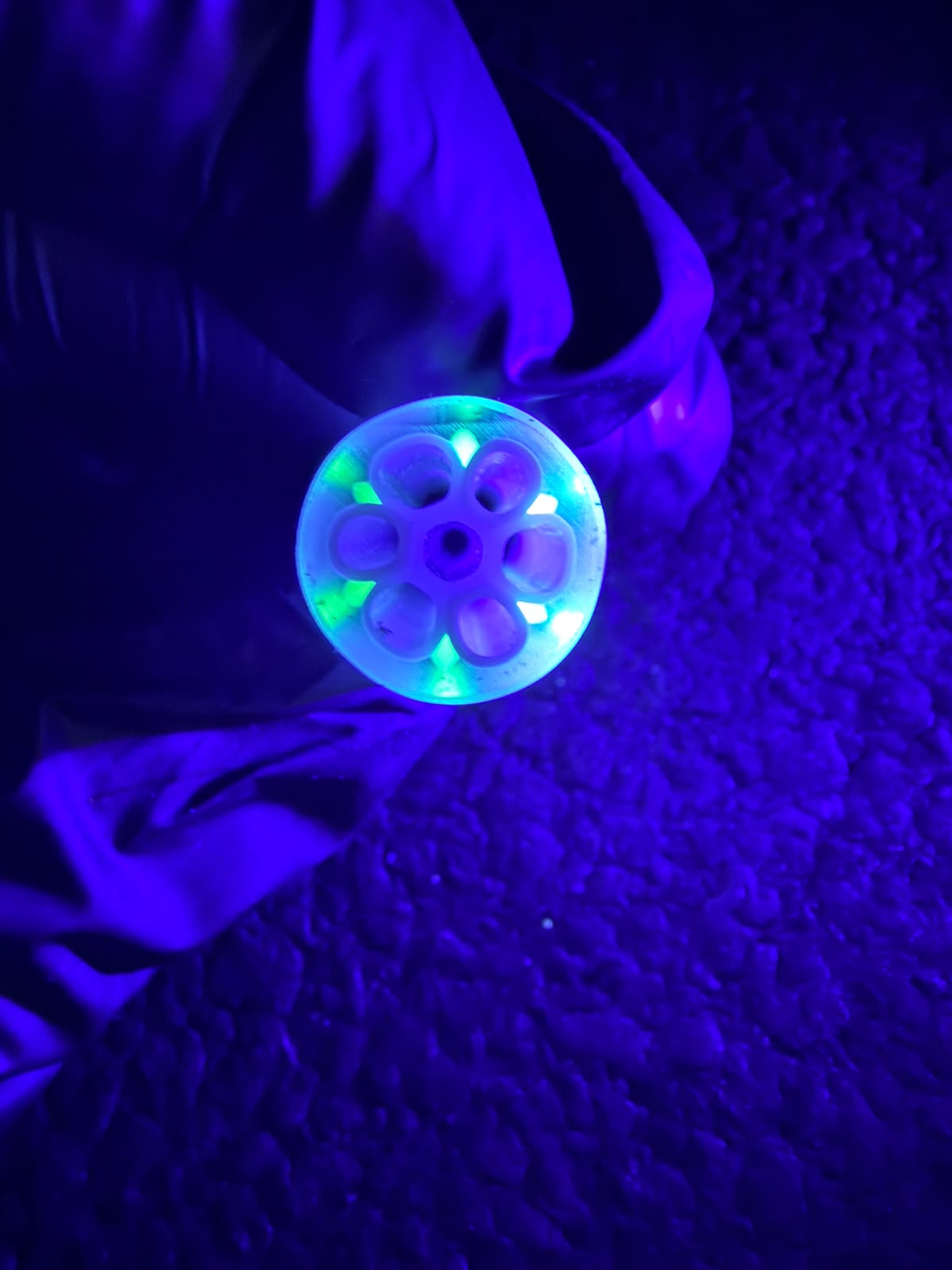 Crisp – UV Filtertip