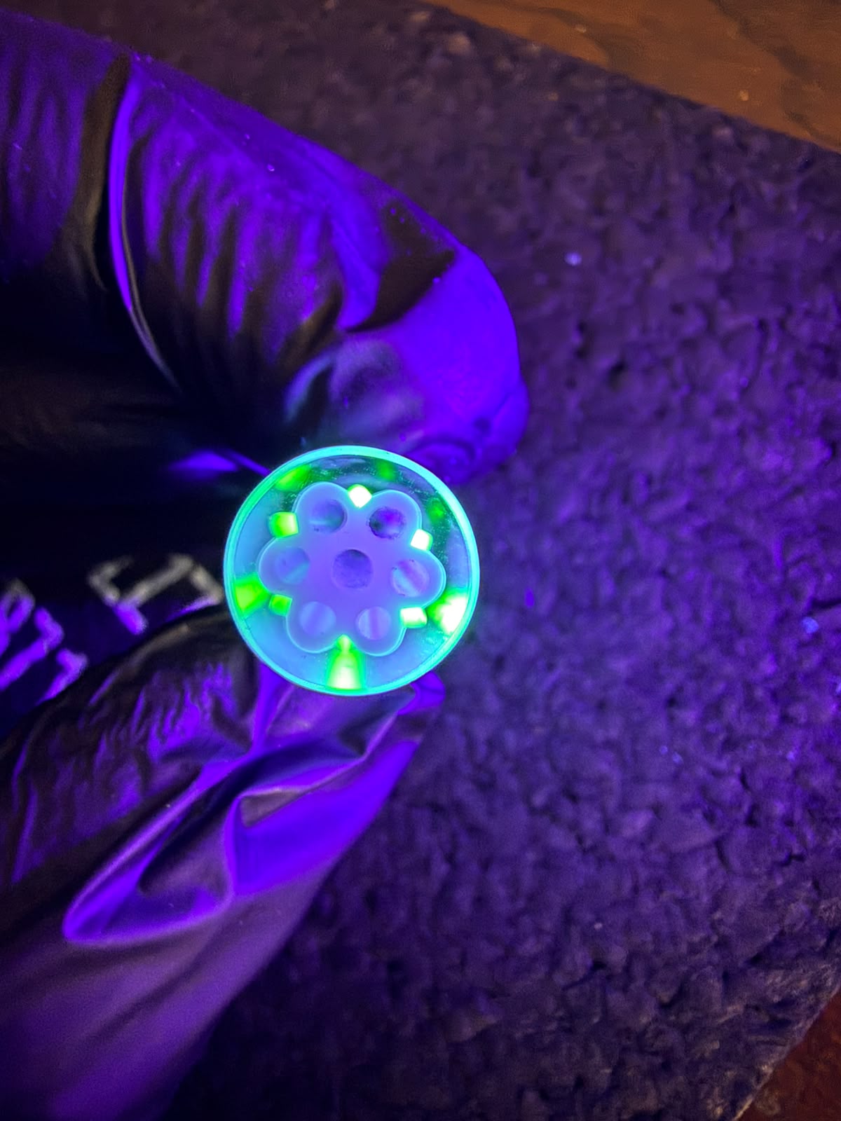 Crisp Filtertip – Babyblau UV